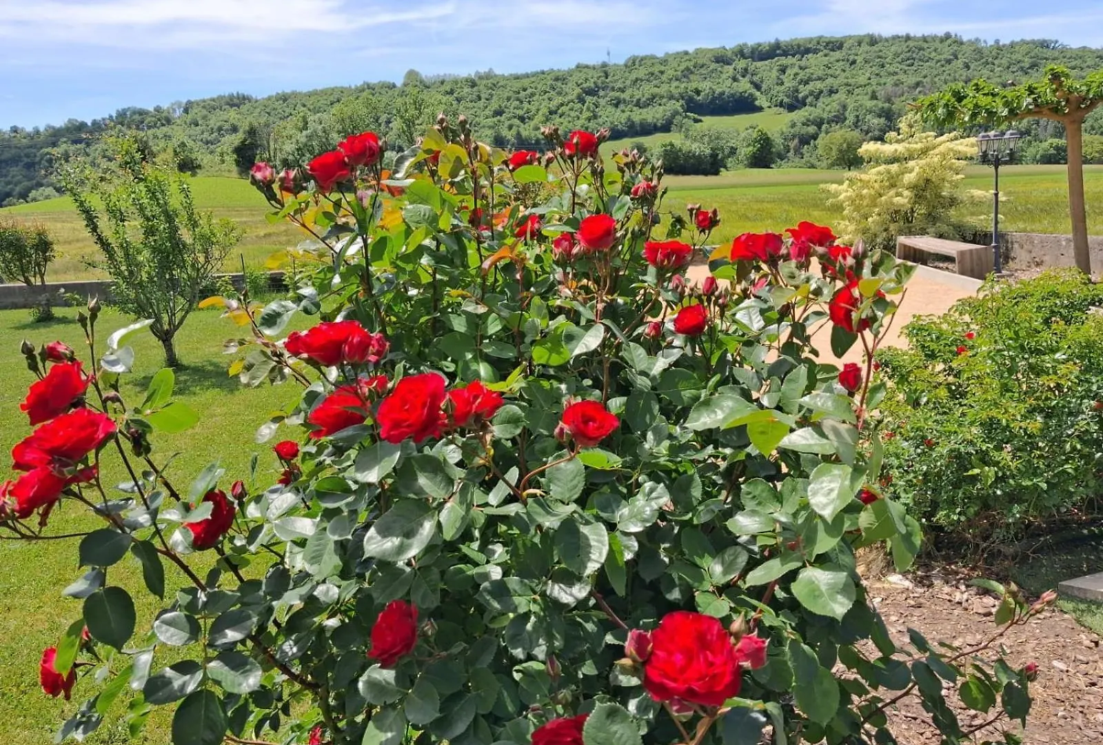 Villa Les violettes du Bugey à Marchamp France